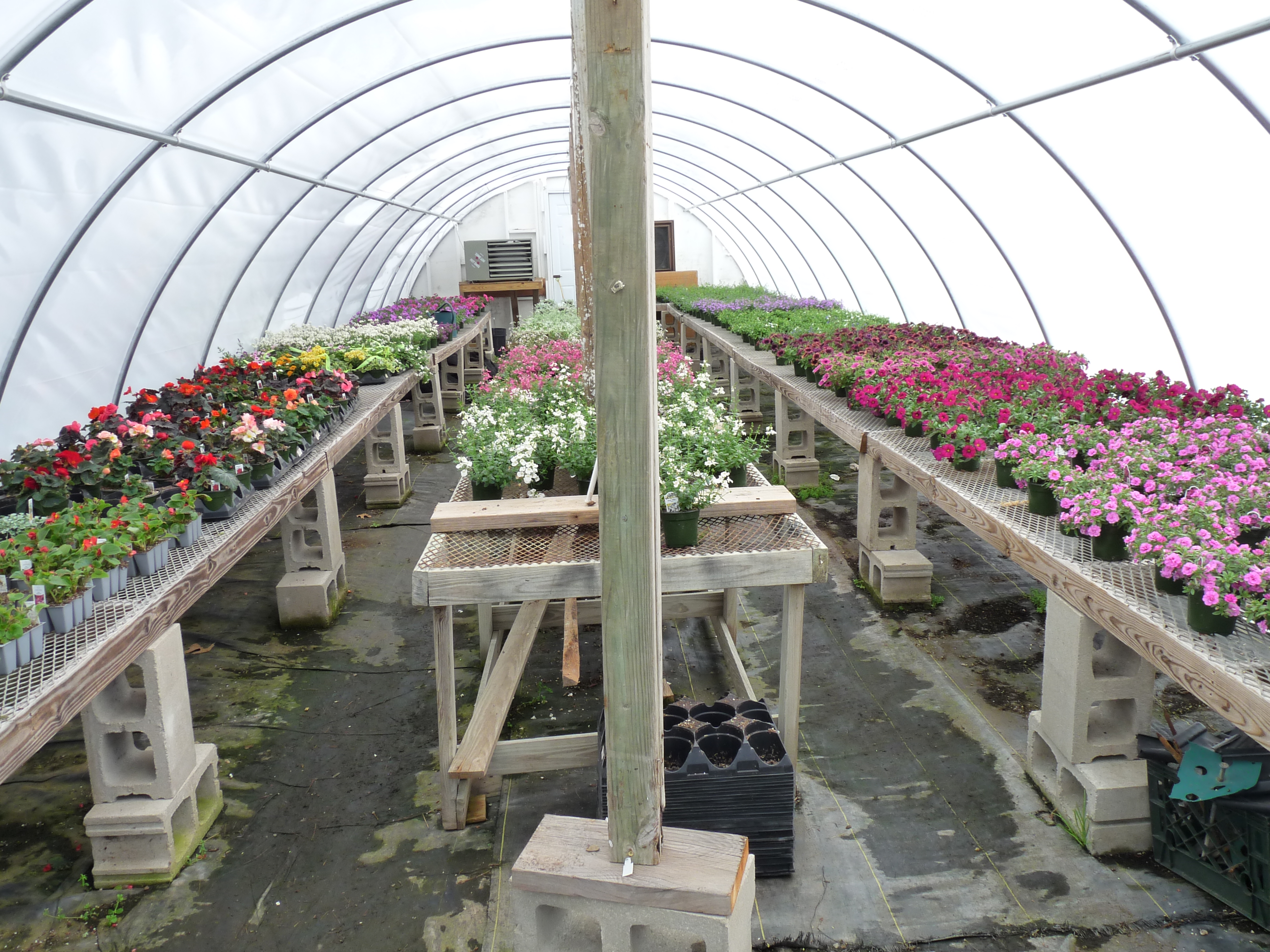 Well Known Nursery Garden Center In Salisbury Ma For Sale