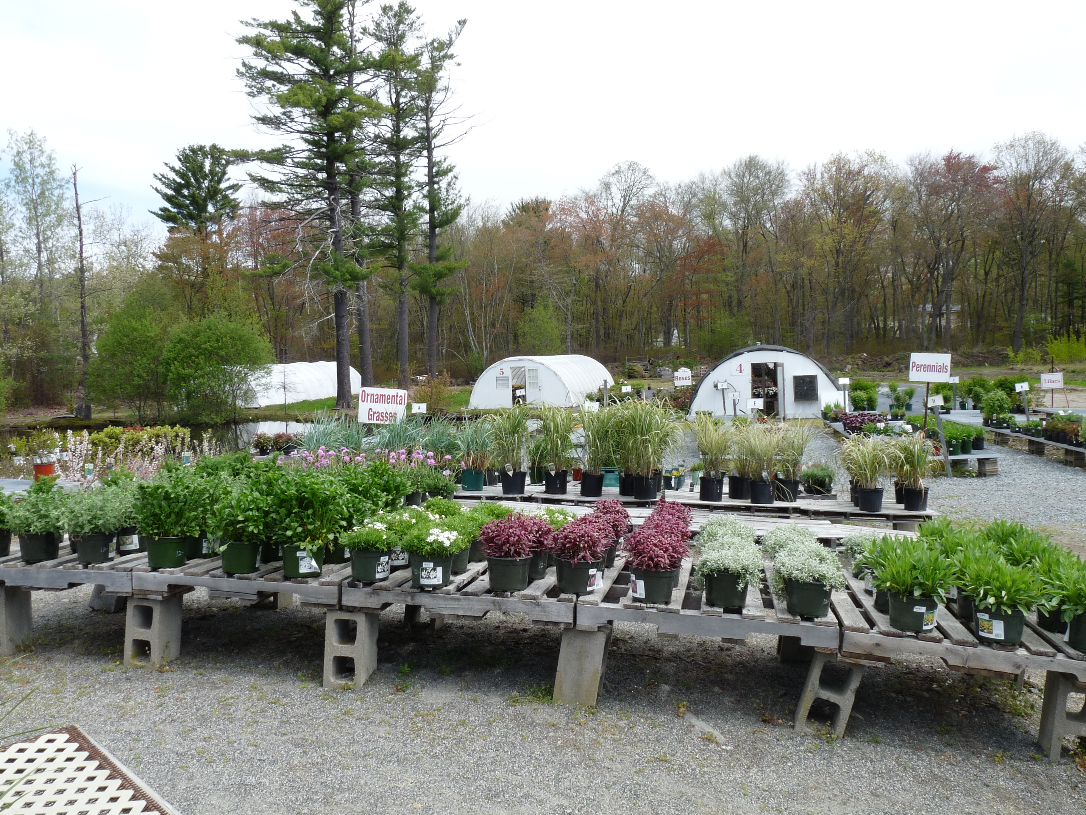 Well Known Nursery Garden Center In Salisbury Ma For Sale