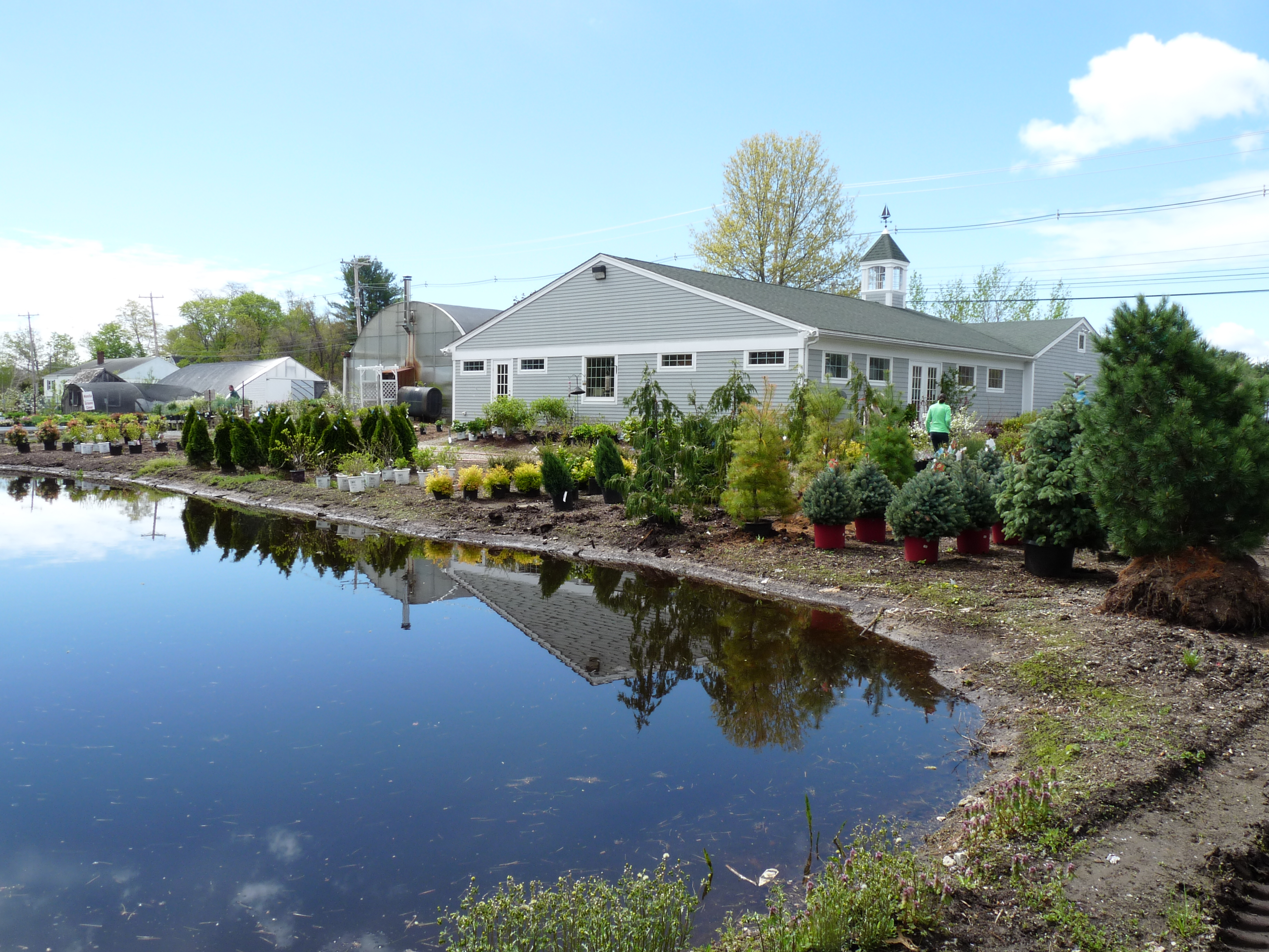 Well Known Nursery Garden Center In Salisbury Ma For Sale