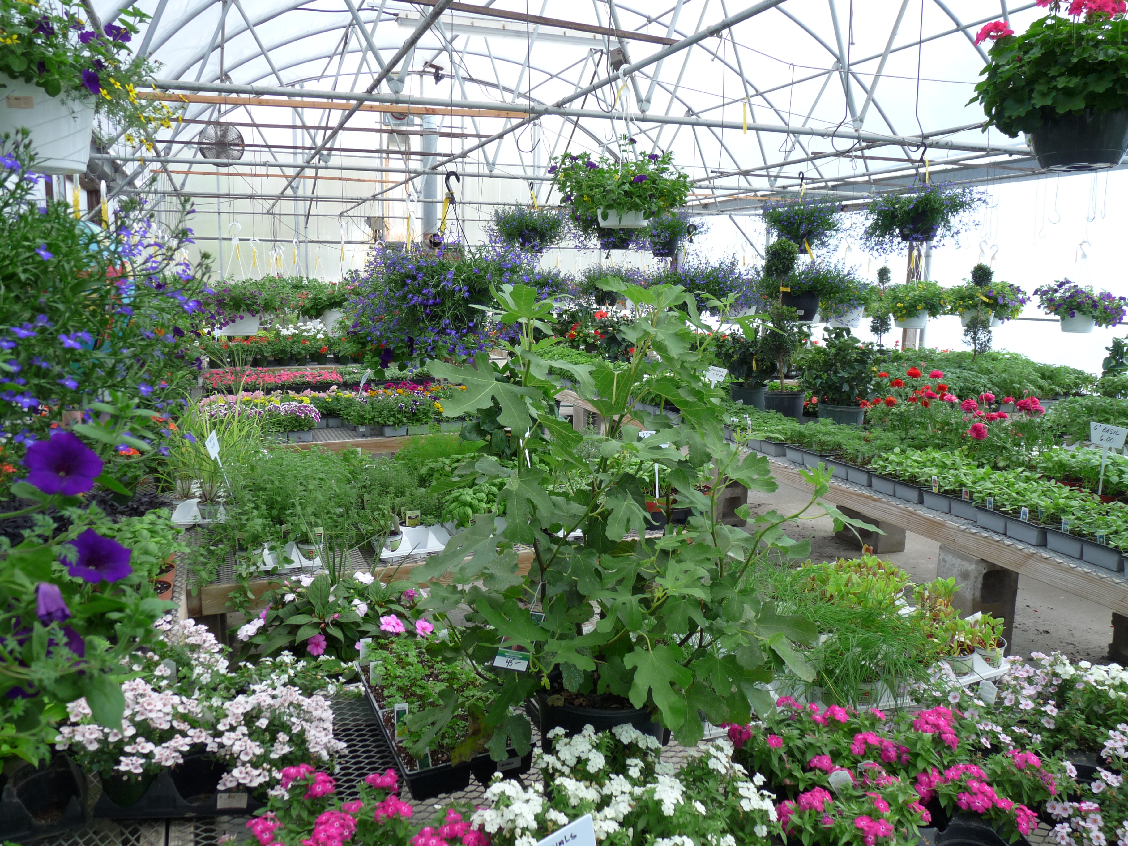 Well Known Nursery Garden Center In Salisbury Ma For Sale